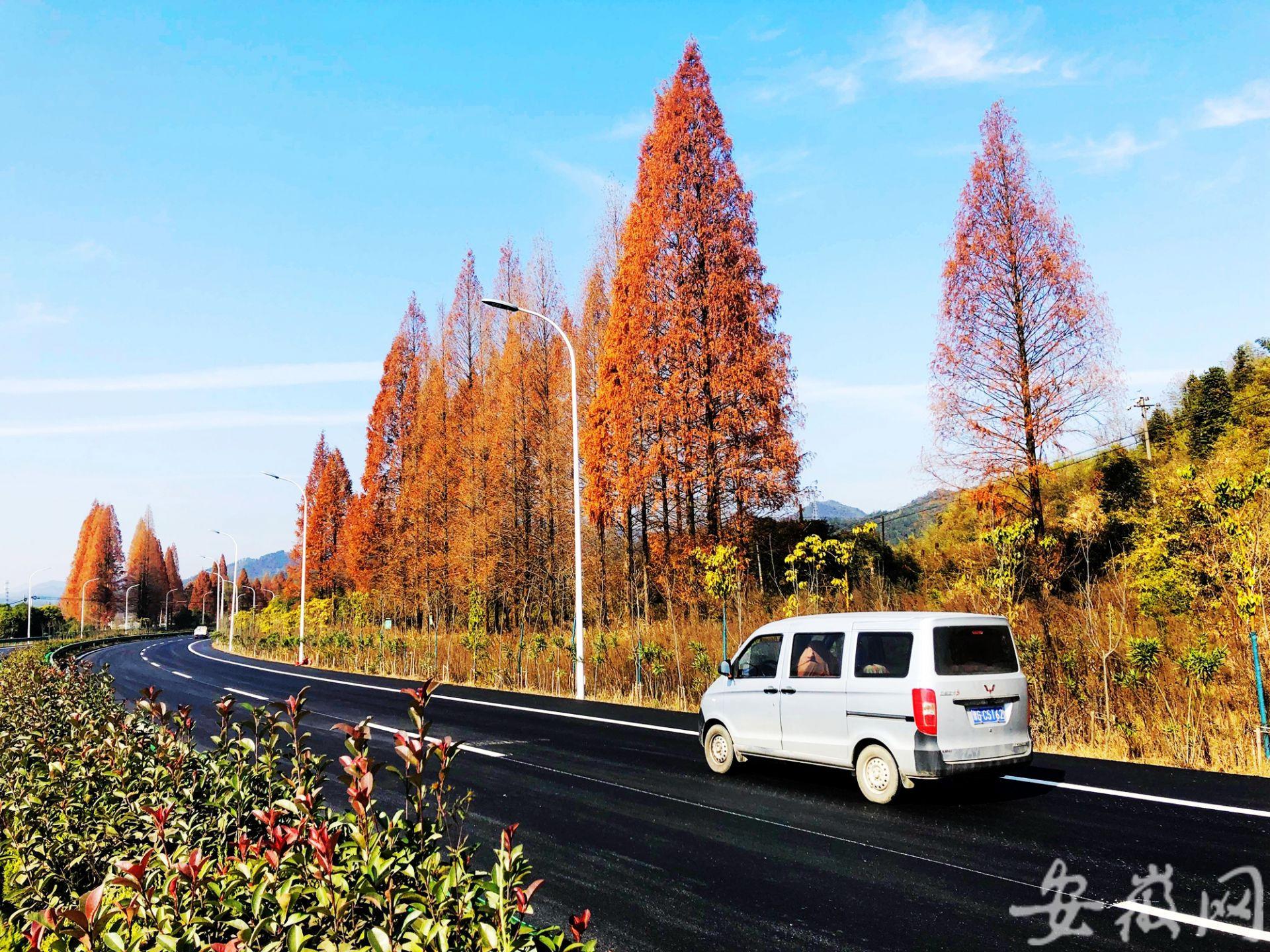 歙黟一级公路最新动态，进展、影响及未来展望