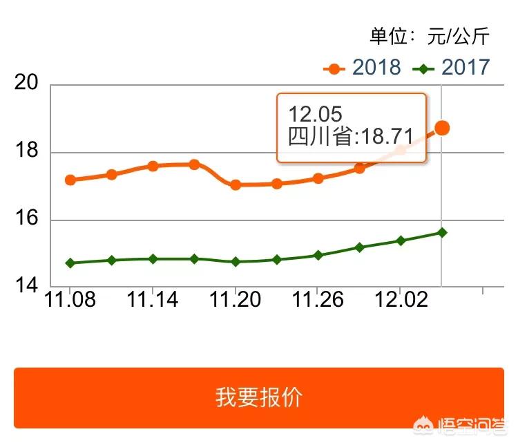 四川最新猪价动态报告，深度解析当前市场趋势