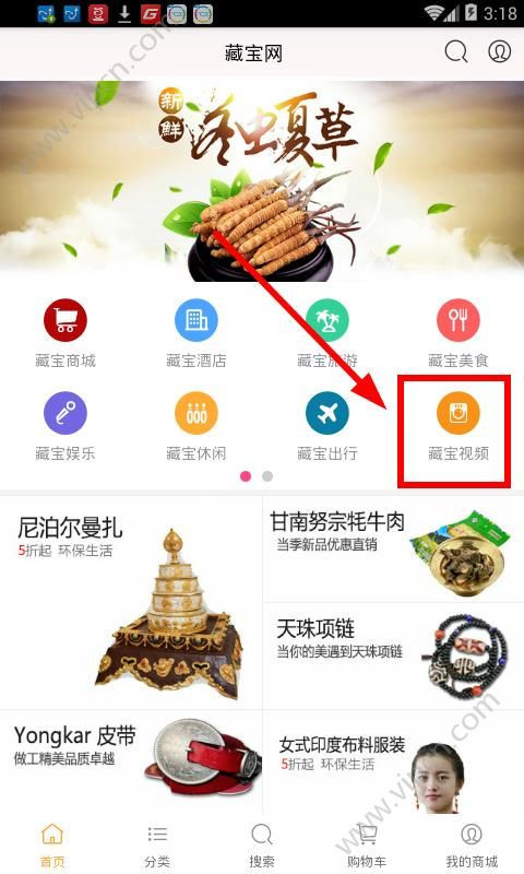 藏宝网App的安全下载与使用指南