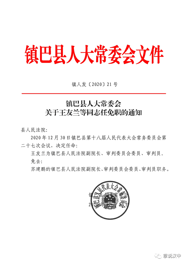 高港区特殊教育事业单位人事任命动态更新