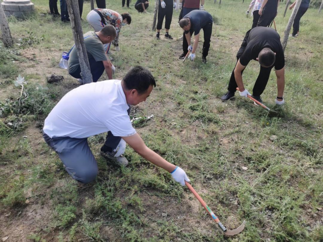 科尔沁左翼中旗水利局招聘启事，最新职位空缺及申请要求