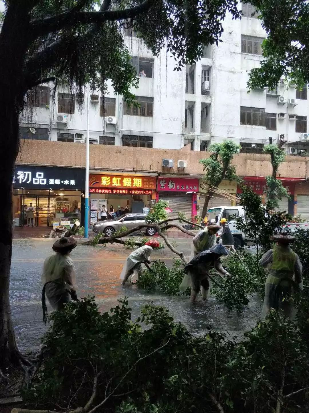 市桥街道交通新闻更新，新动态与改进措施同步呈现