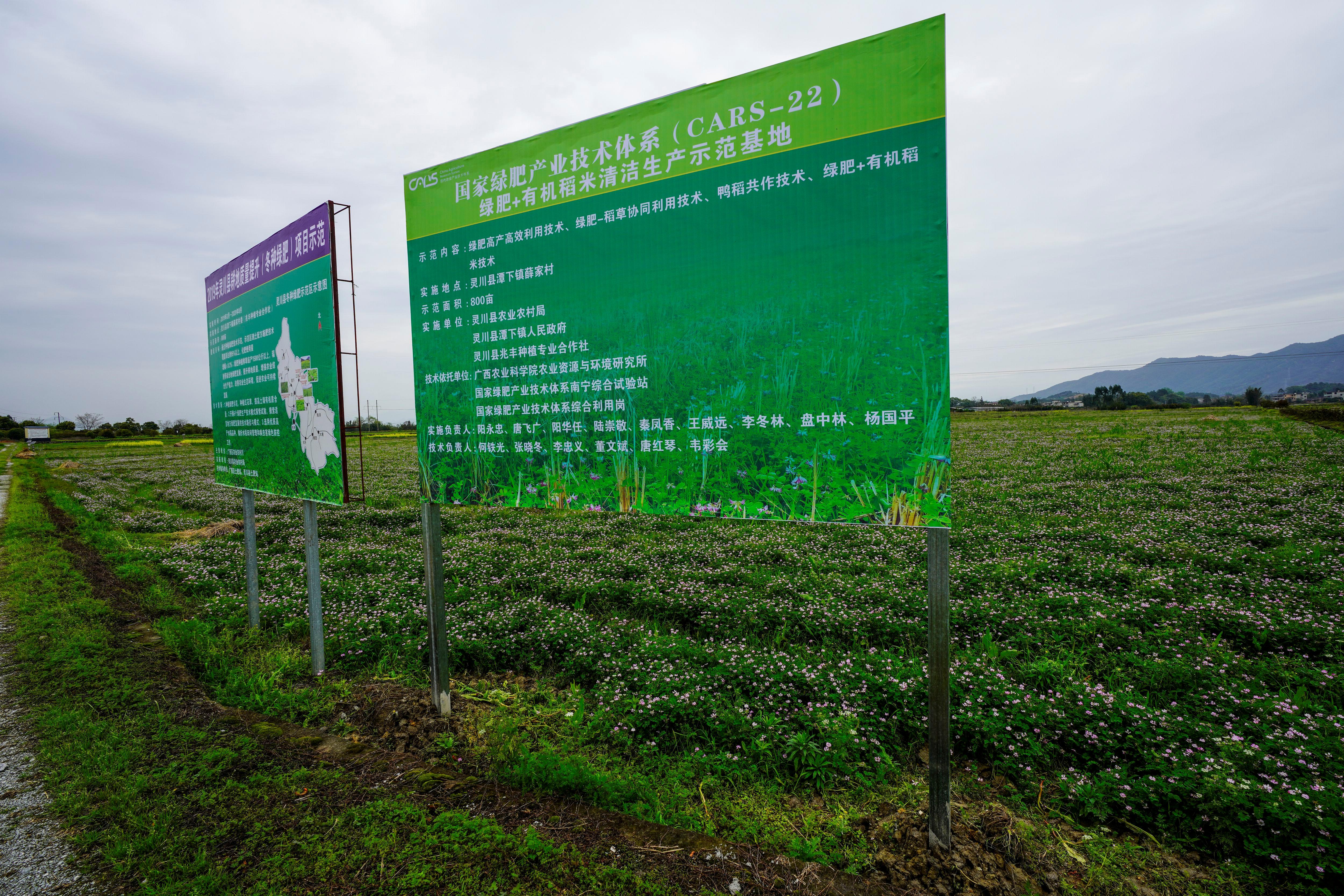 灵川县交通运输局发布最新新闻报告