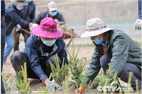 玉树藏族自治州市林业局最新招聘信息与职业前景展望解析