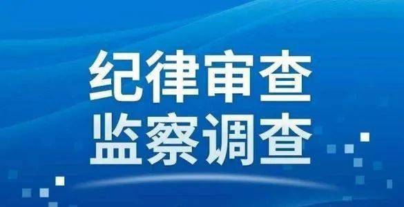 邵阳县科学技术与工业信息化局人事任命，科技与工业信息化事业迎新篇章