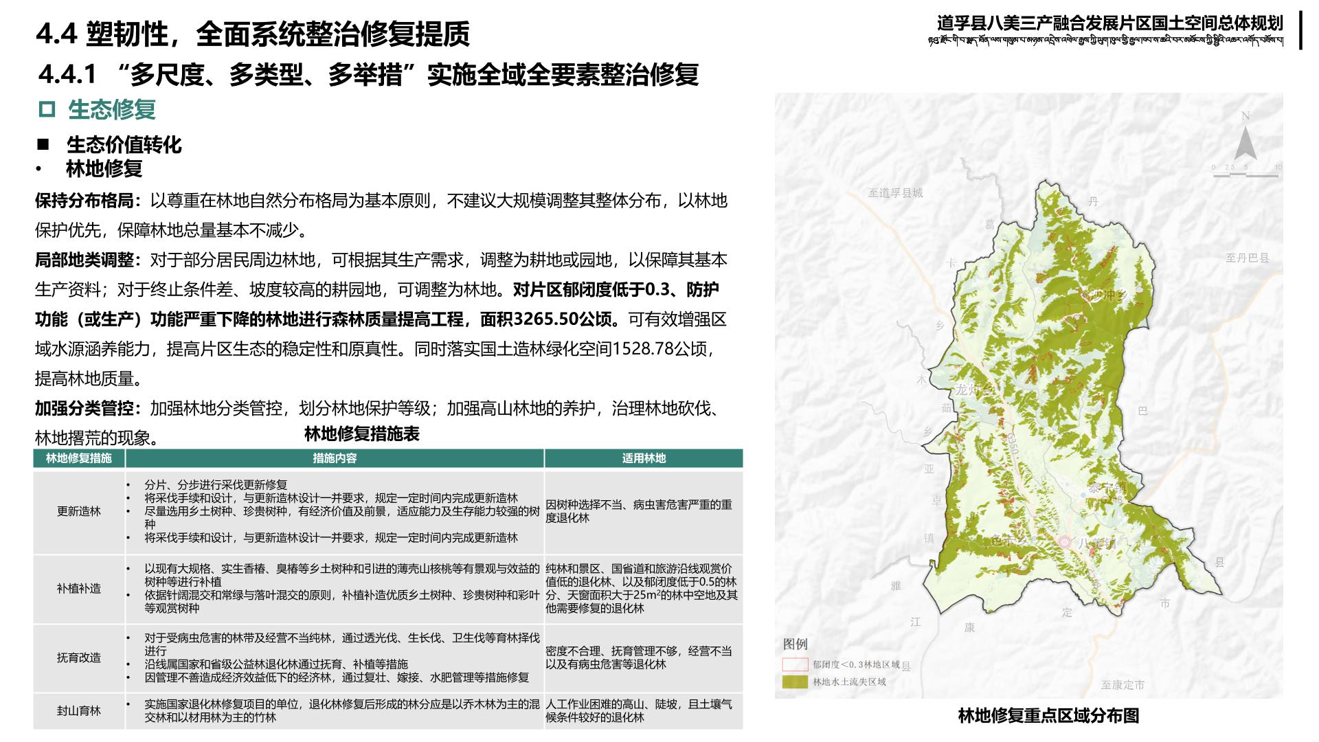 贡山独龙族怒族自治县人民政府办公室最新发展规划概览