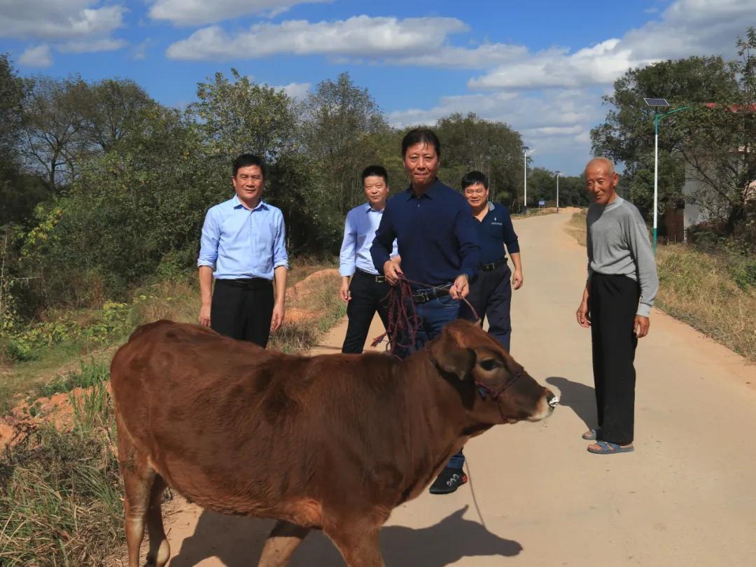 贵溪市交通运输局最新动态报道