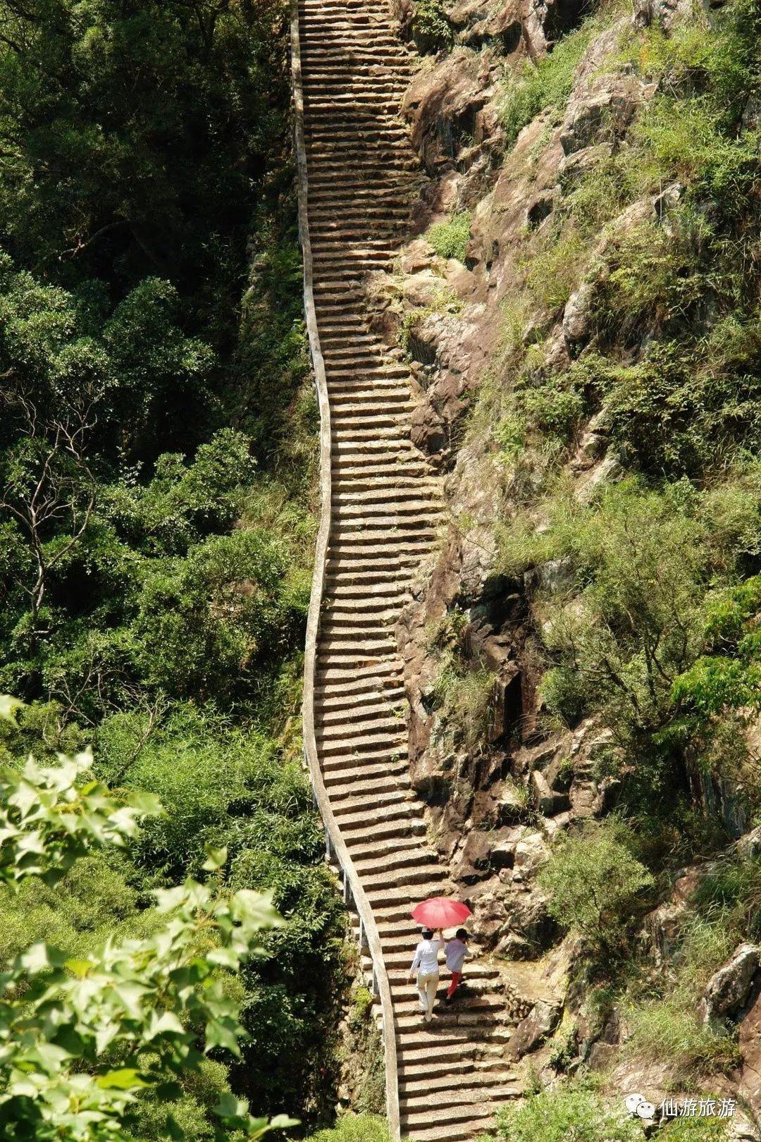 仙游县文化局最新项目动态概览