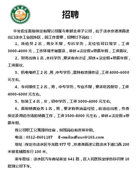 徐水县财政局最新招聘信息全面解析