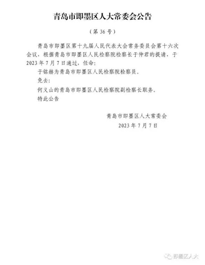 青岛市财政局人事任命启动，新篇章引领财政事业发展