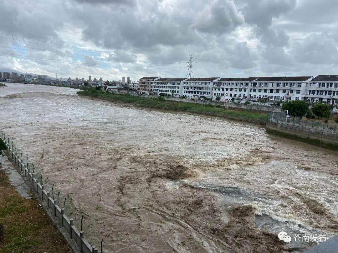 苍南县水利局新项目推动水利建设助力地方发展进程