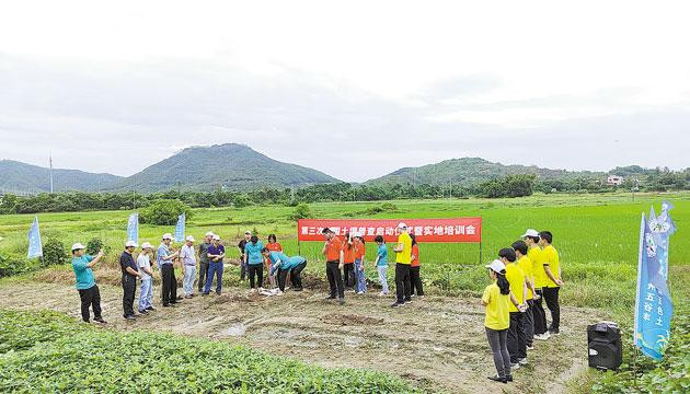 阳江林场田畔分场招聘启事，职业发展机遇与挑战揭晓