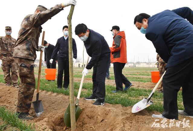 廉州镇新领导引领下的新气象崛起