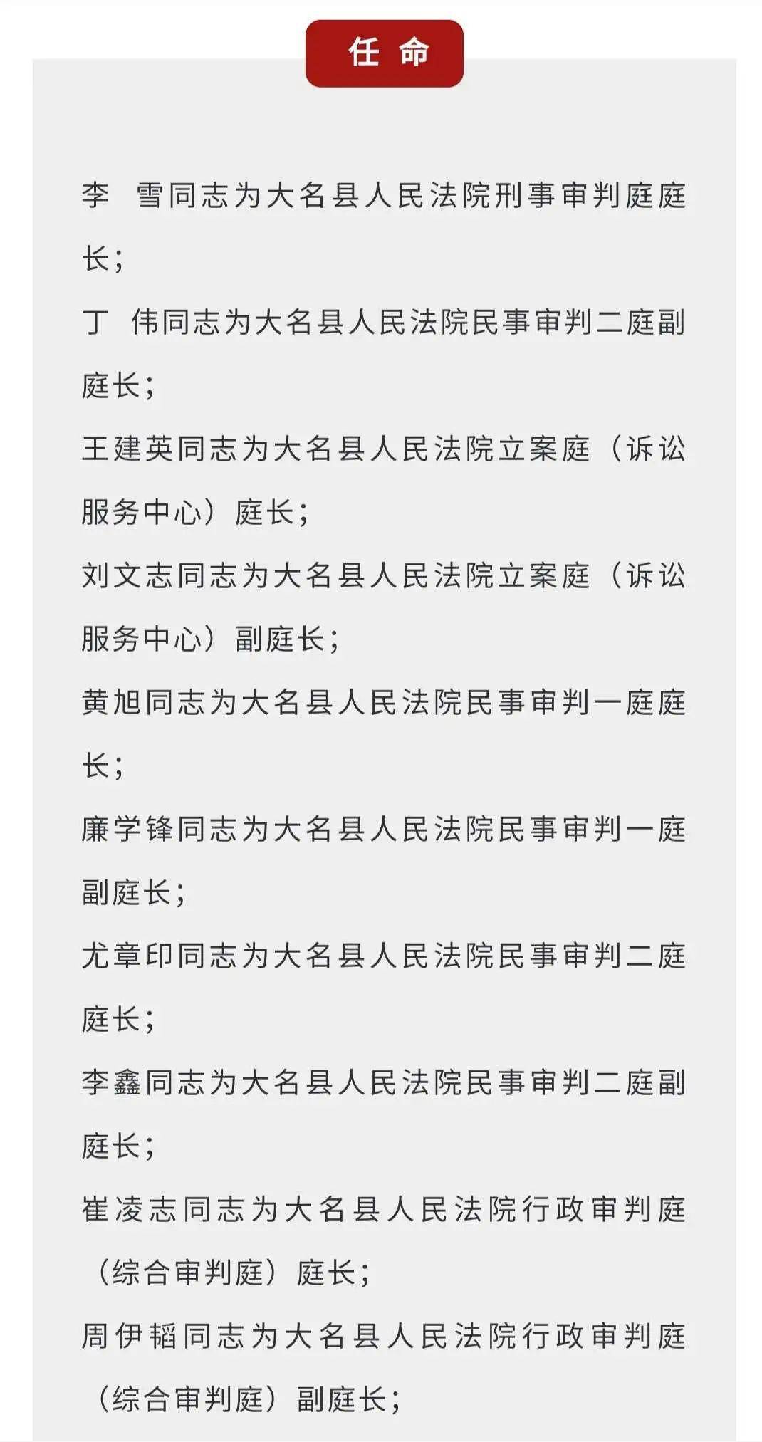 大名县医疗保障局人事任命动态深度解析