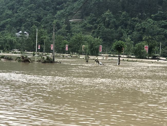 河堰镇天气预报更新通知