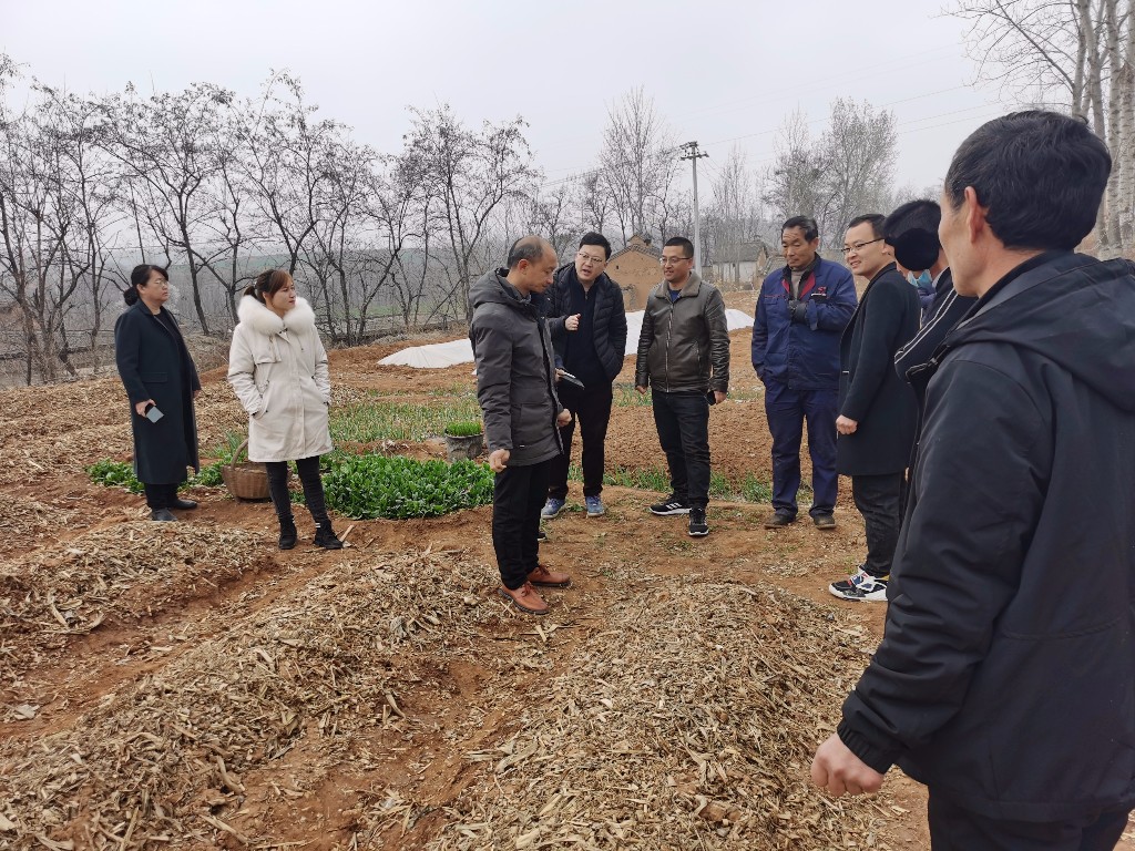 上观音堂乡发展规划引领乡村未来繁荣，塑造新面貌