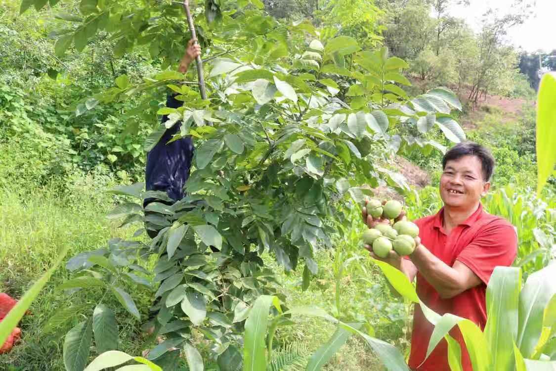 巧家县卫生健康局最新动态报道