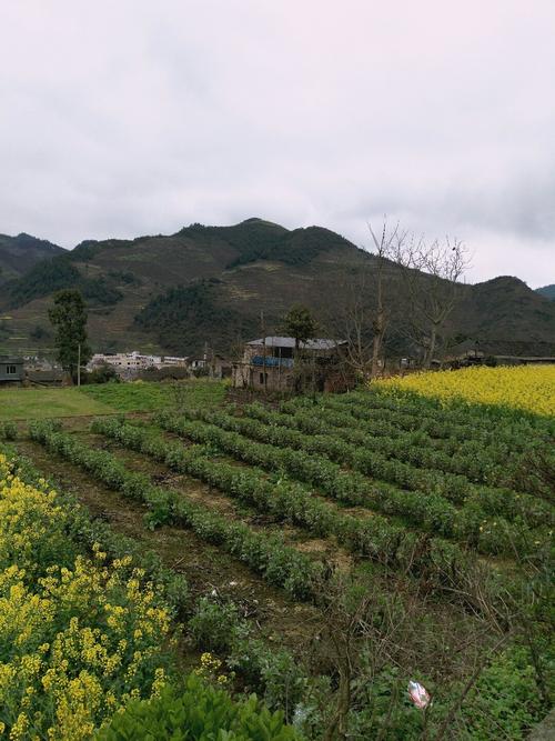 色库村最新天气预报信息汇总