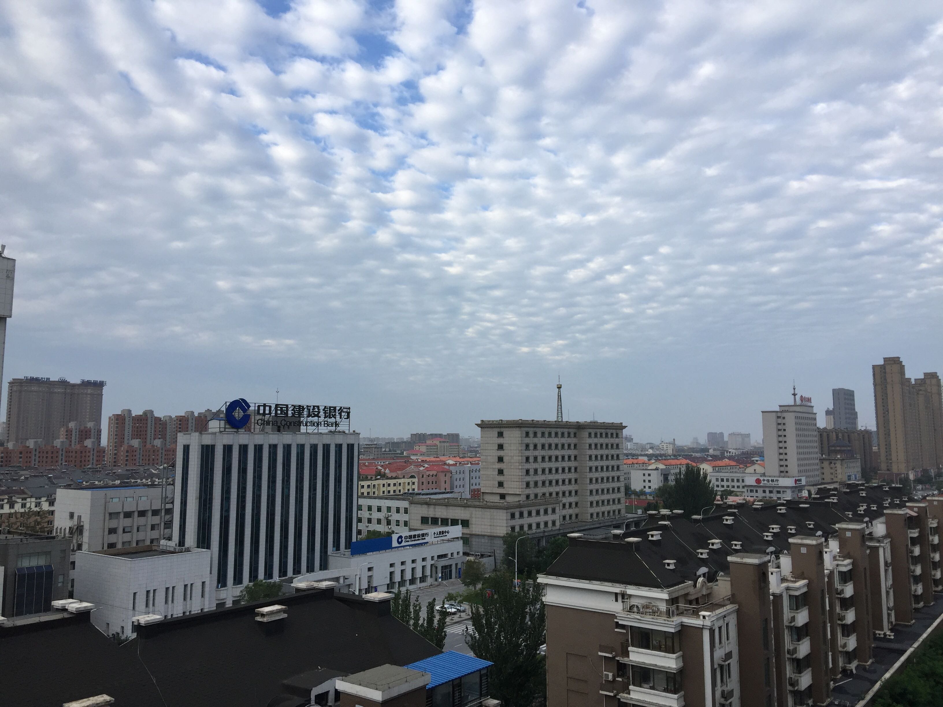 站前街道办天气预报详解报告